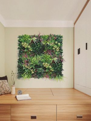 Jardín Vertical Belice